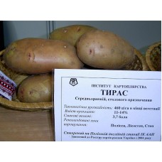 №17 від 30.04.2010 | Як виростити високоврожайну та смачну картоплю