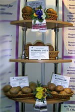Інституту картоплярства - выращивание картофля